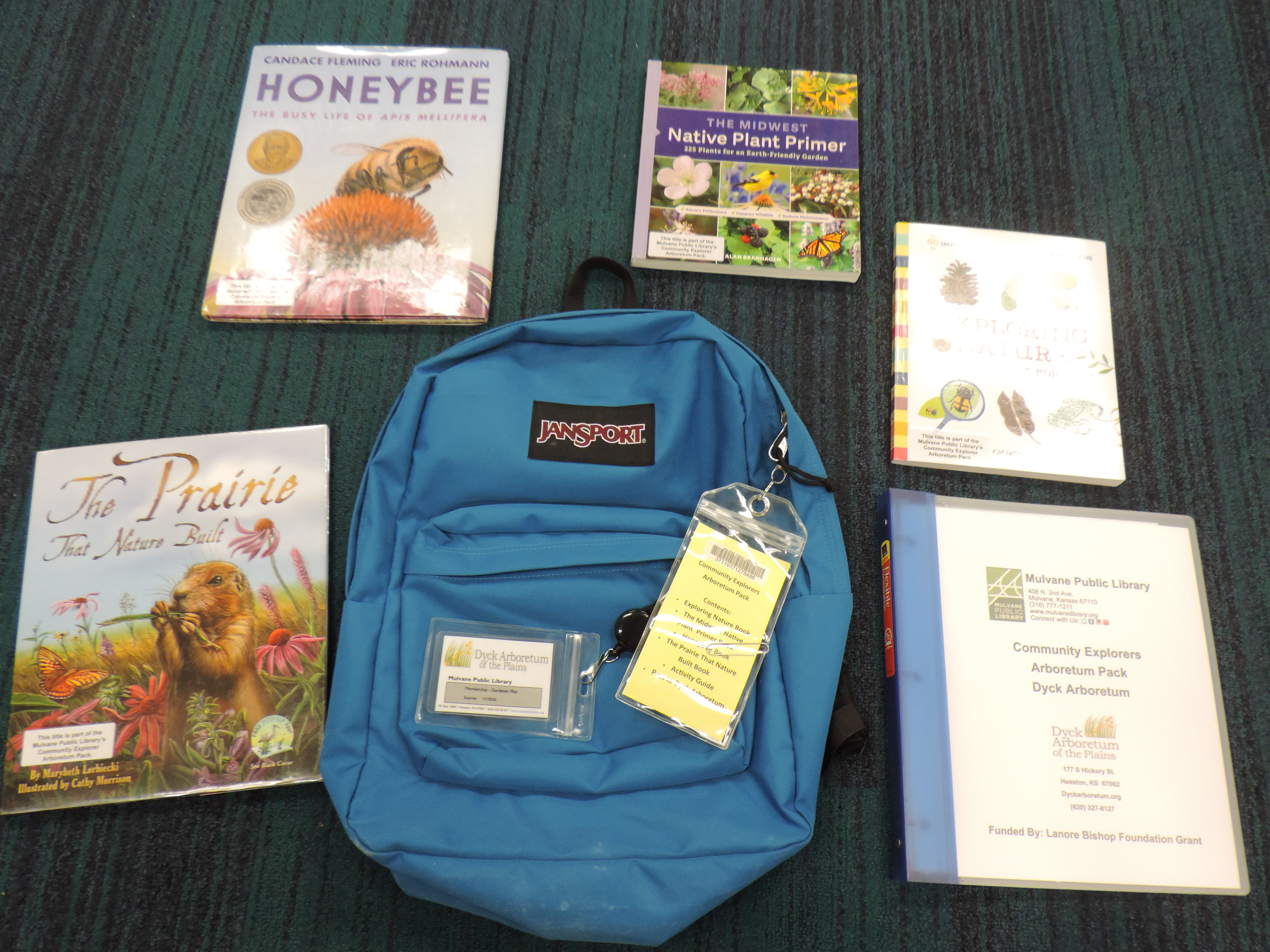Blue backpack with books and museum pass