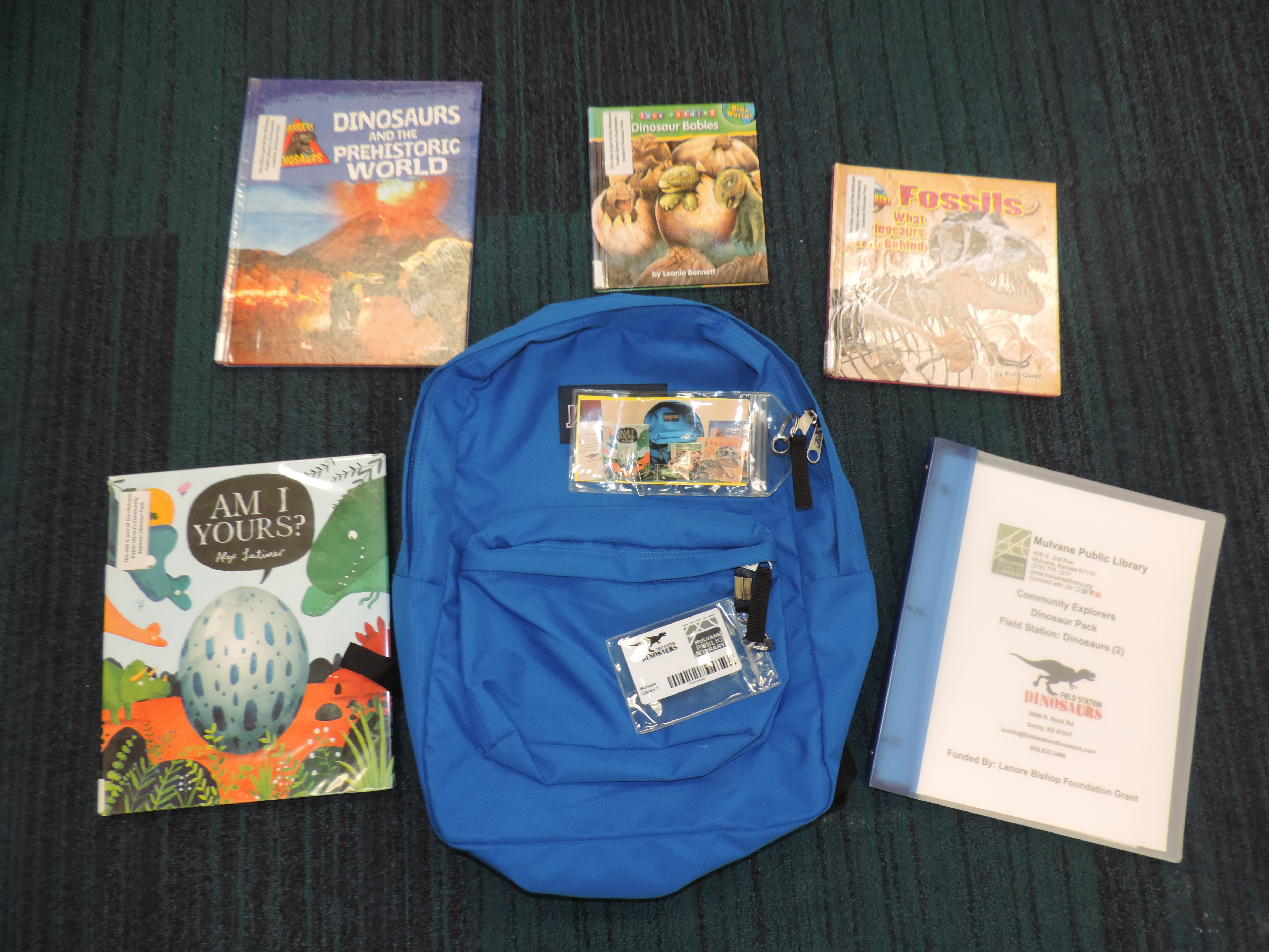 Blue backpack with books and museum pass