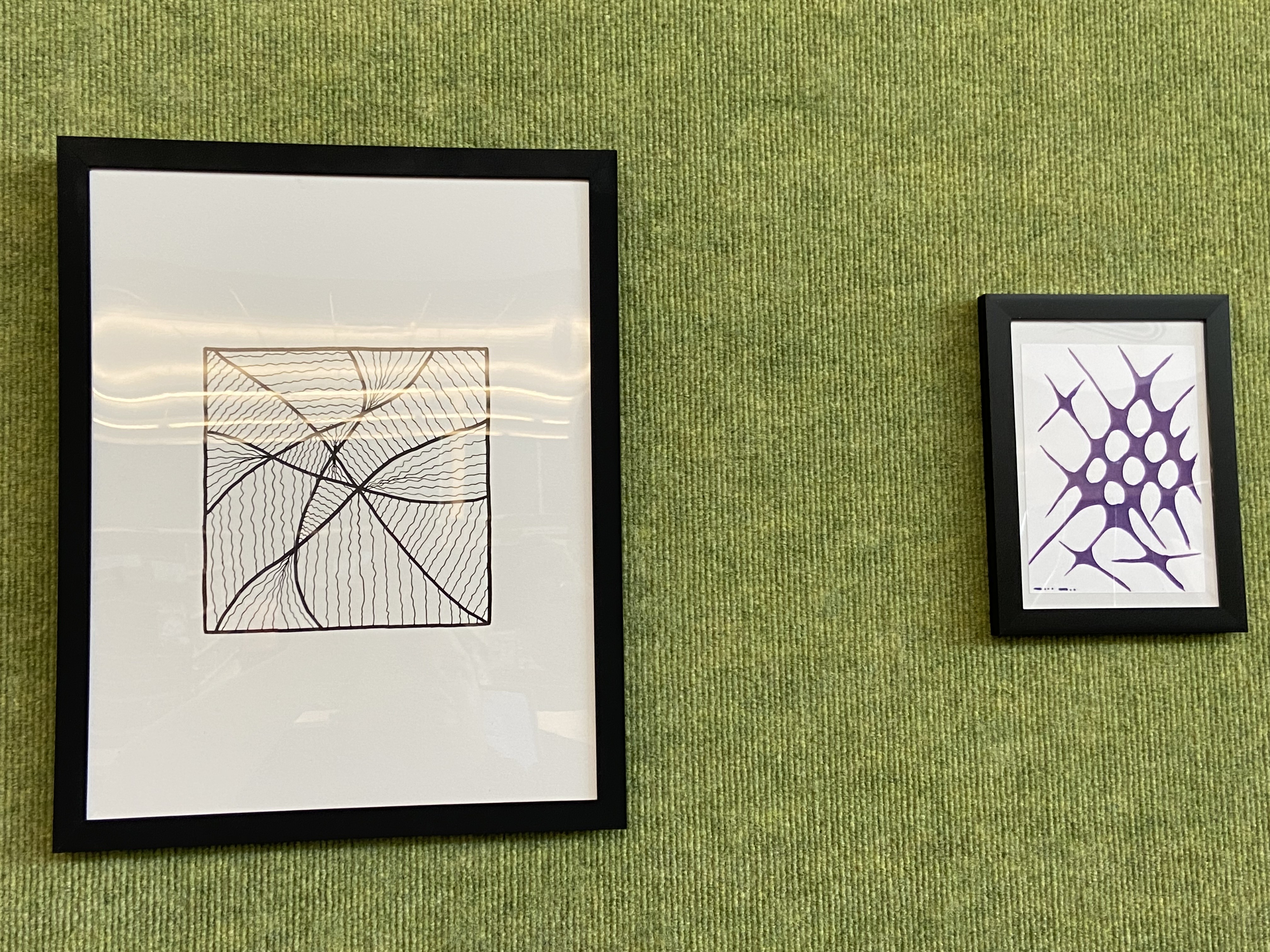green wall with framed black and white drawings 