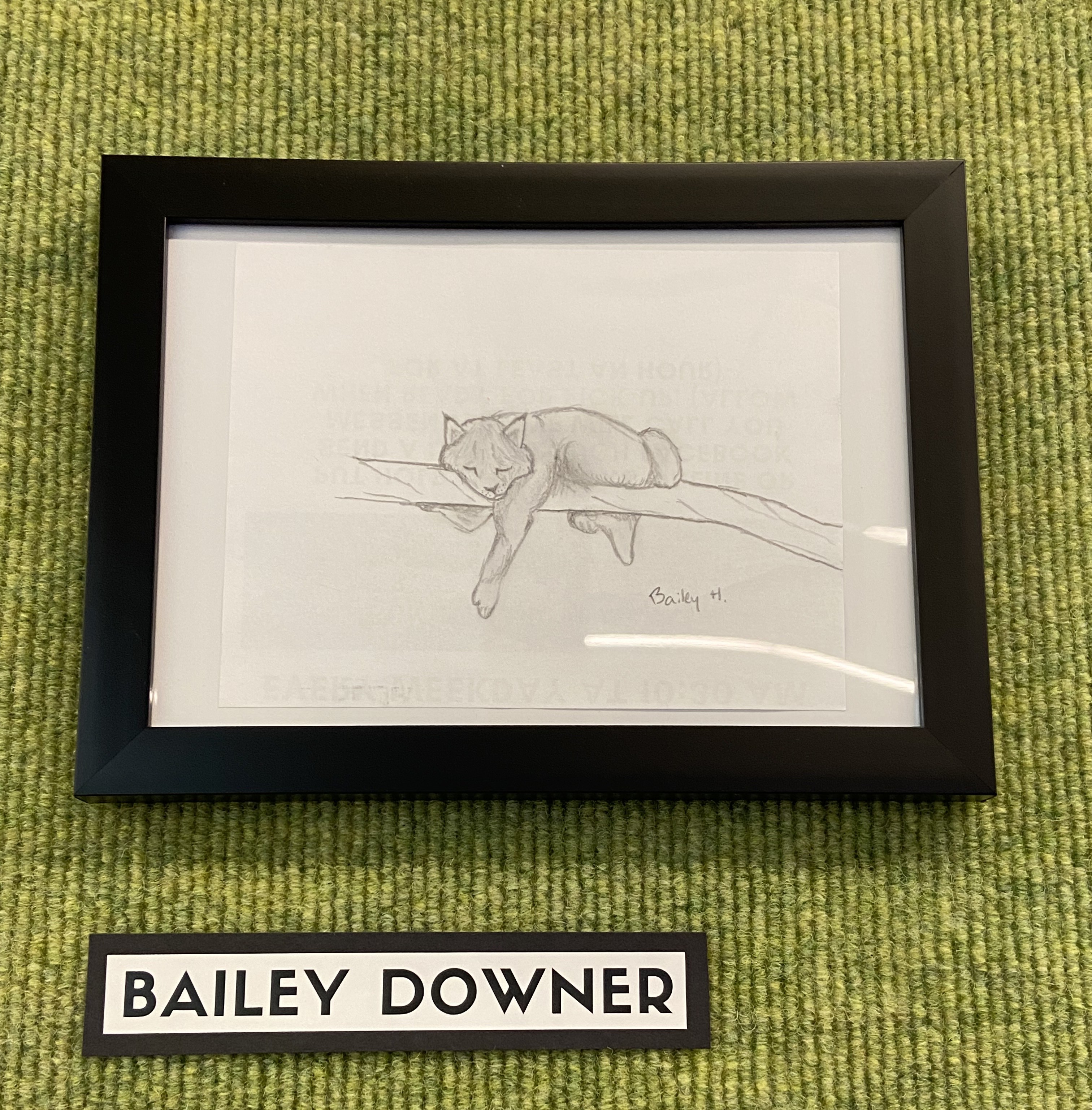 black and white framed cat drawing, label with artist name
