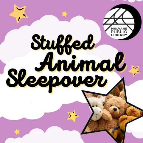 Purple night sky with stars and one star has stuffed animals with library logo and text "Stuffed Animal Sleepover"