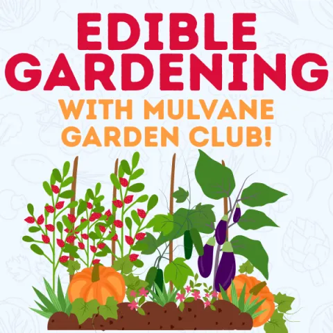 The words "Edible Gardening" in pink above "With Mulvane Garden Club" in yellow. At the bottom of of the graphic, there's a garden with lively pumpkins, eggplants, and more. 
